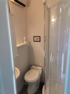 a small bathroom with a toilet and a shower at Studio 4 personnes in Eaux-Bonnes