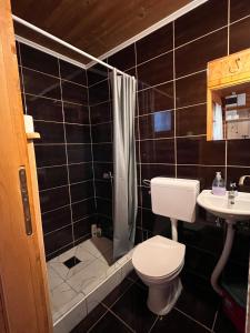 a bathroom with a toilet and a shower and a sink at Rafting Centar Bato in Plužine