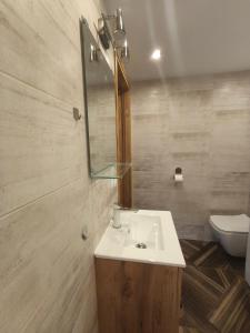 a bathroom with a sink and a mirror and a toilet at Domek Magellan Cisna 11 in Cisna