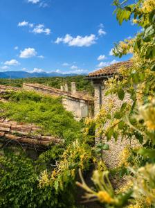 an old building in a vineyard with green vegetation at Entre Ciels et Lettres in Grignan