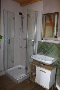 a bathroom with a shower and a sink and a shower at Ferienwohnung Am Tharandter Wald 2 in Wilsdruff