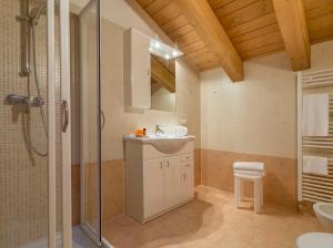 a bathroom with a sink and a shower at Residence Civetta in Val di Zoldo +54 photos