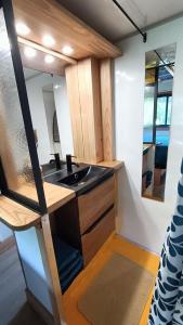 a bathroom with a sink and a mirror at Tiny house chez Manou in Castelnau-de-Mandailles