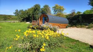 a small cabin in a field with yellow flowers at Tiny house chez Manou in Castelnau-de-Mandailles