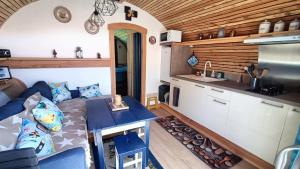 a kitchen and a living room in a tiny house at Tiny house chez Manou in Castelnau-de-Mandailles