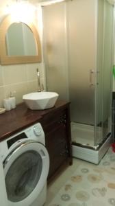 a bathroom with a washing machine and a sink at Green Apartman in Čukarica +25 photos