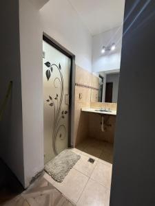 a bathroom with a shower with a sink and a mirror at Richard House in Villa Dolores