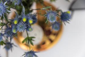 a bunch of blue flowers in a vase at Heritage House in Klaipėda