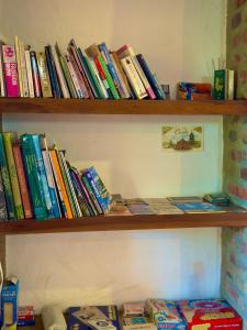 a bunch of books sitting on a shelf at Artepolis in Barichara +25 photos