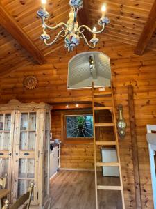 a room with a ladder in a log cabin at Seesen Private Lodge in Seesen