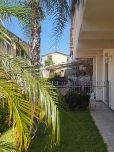 a palm tree next to a building with a fence at XVI Secolo House in Scalea