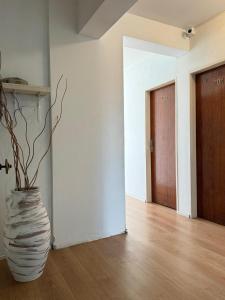 a large vase with a plant in a room at Hotel Plaza in Concepción del Uruguay