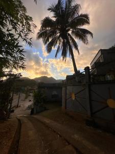 a palm tree in front of a building with the sunset at Recanto do sol in Mangaratiba