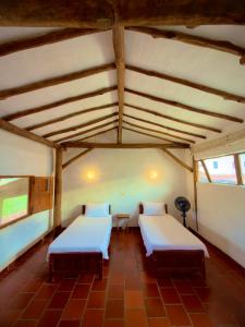 two beds in a room with two windows at Artepolis in Barichara