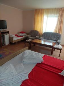 a living room with a couch and a coffee table at Motel Biamin in Tăşnad