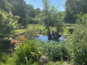 a pond in the middle of a garden with flowers at Vigo Retreat cabin 1 in Sevenoaks +11 photos