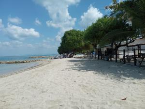 a sandy beach with trees and chairs and the ocean at Cabaña Bamel in San Antero