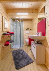 a bathroom with a shower and a toilet and a sink at Chalets am National Park Eifel in Schleiden