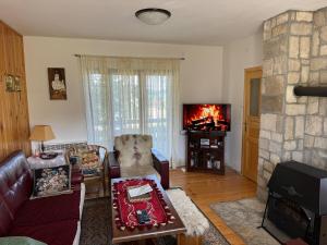 a living room with a couch and a fireplace at Wolf Chalet in Motički Gaj
