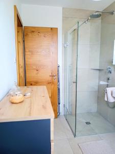 a bathroom with a glass shower and a sink at Exclusive Apartment mit Alpenpanorama in Peiting