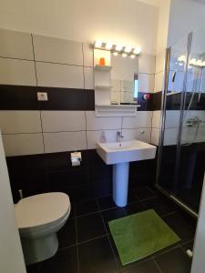 a bathroom with a sink and a toilet and a shower at Vila Laura 1 in Sovata