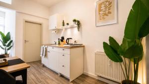 a kitchen with white cabinets and a table and a plant at Beesenkammer - zentrales StudioApartment Halle in Halle an der Saale +10 photos