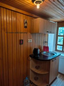 a kitchen with a sink and wooden walls at Liberty Apartment And Rooms in Tbilisi City