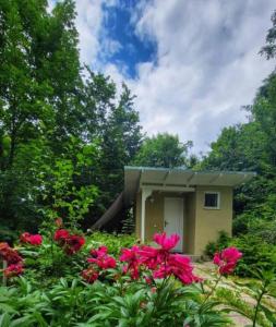mały dom z różowymi kwiatami przed nim w obiekcie Tiny House for Two w Braszowie +7 zdjęć