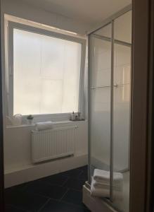a bathroom with a glass shower and a window at Hannover Central Apartment in Hannover