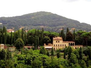 une maison au milieu d'une forêt d'arbres dans l'établissement Villa vista Fiesole, à Florence