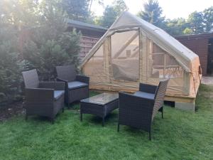 a group of chairs and a gazebo in a yard at Namiot glampingowy u Kasi in Pojezierze +7 photos