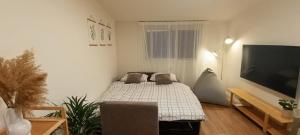 a living room with a bed and a flat screen tv at פינה בנחלה in Ma'ale Gamla