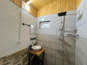 a bathroom with a shower and a sink at Marisi Cottage - კოტეჯი მარისი in Ambrolauri