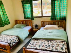 two beds in a room with green curtains and a window at 2 Authentic Mara Bush Cottages in Sekenani