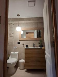 a bathroom with a toilet and a sink and a mirror at Hotel Boutique Terra Diaguita & Spa in La Serena +66 photos