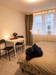 a bedroom with a bed and a table and a table and chairs at Old-Town Studios Zürich in Zurich