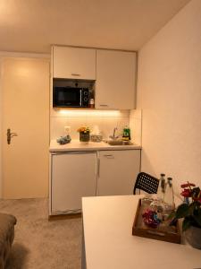 a small kitchen with a sink and a microwave at Old-Town Studios Zürich in Zurich