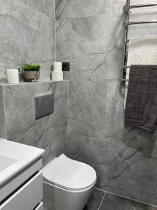 a bathroom with a toilet and a sink at Modern Olive Home in Căuşeni