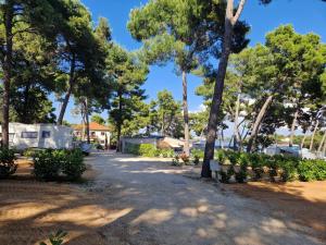 a path in a park with trees and bushes at Taber Pašman – Mobile Homes in Pašman