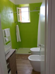 a green bathroom with a toilet and a sink at Borgo antico Pisa in Montecastello +27 photos