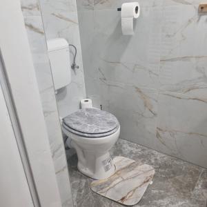 a bathroom with a white toilet in a stall at Peđa in Ogulin +11 photos