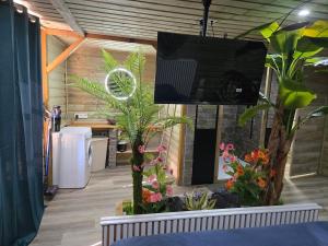 a living room with a tv and some plants at Gite de yaya in Cousance +3 photos