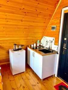 a kitchen with a sink in a wooden room at Marco Polo Sarpi Vila 3 in Batumi +7 photos