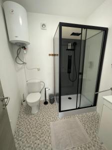 a bathroom with a toilet and a glass shower at Appartement Dio in Dinant +13 photos