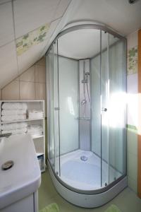 a shower with a glass door in a bathroom at Michell Apartman Martin in Martin