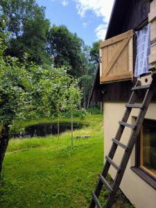 a ladder leaning against the side of a house at Sauna Suite 1 in Valga