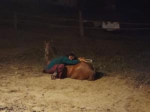 a person riding a horse in a field at night at Garden de Arts in Pai