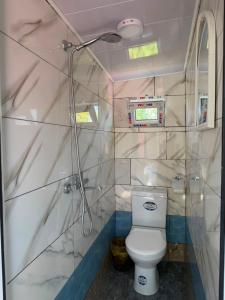 a bathroom with a toilet and a shower at Rezo's Ranch Cottage in Samtredia