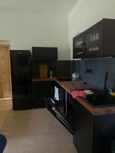 a kitchen with black appliances and a black refrigerator at Chlum 1 in Chlum
