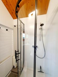 a shower with a glass door in a bathroom at Zeit für uns in Cuxhaven +35 photos